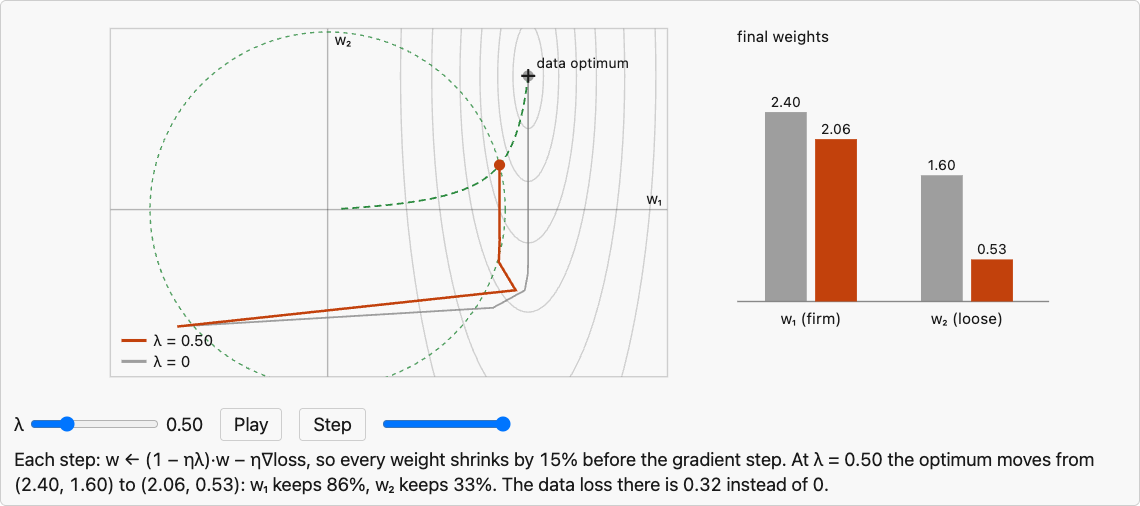 Two weights under weight decay: the firmly determined weight keeps 86 percent, the loosely determined one 33 percent